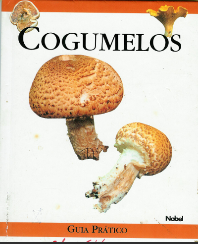 Cogumelos – Guia para Reconhecer